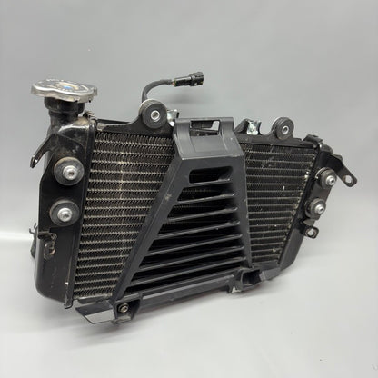 BMW G310R US RADIATOR 2016 2017 2018 2019 2020 OEM 8558350