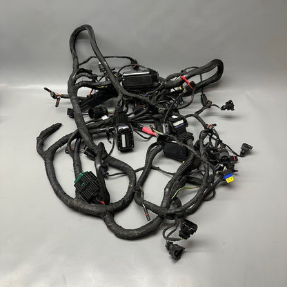 K 1300S BMW K 1300S MAIN ENGINE HARNESS 2007-2011 2012 2013 2014 2015 OEM