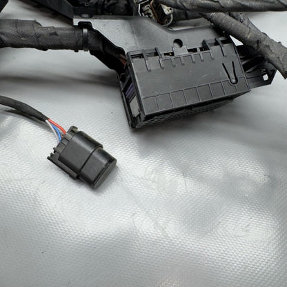 1692821 BMW F900R MAIN ENGINE HARNESS 2020 2021 2022 2023 2024 OEM 1692821