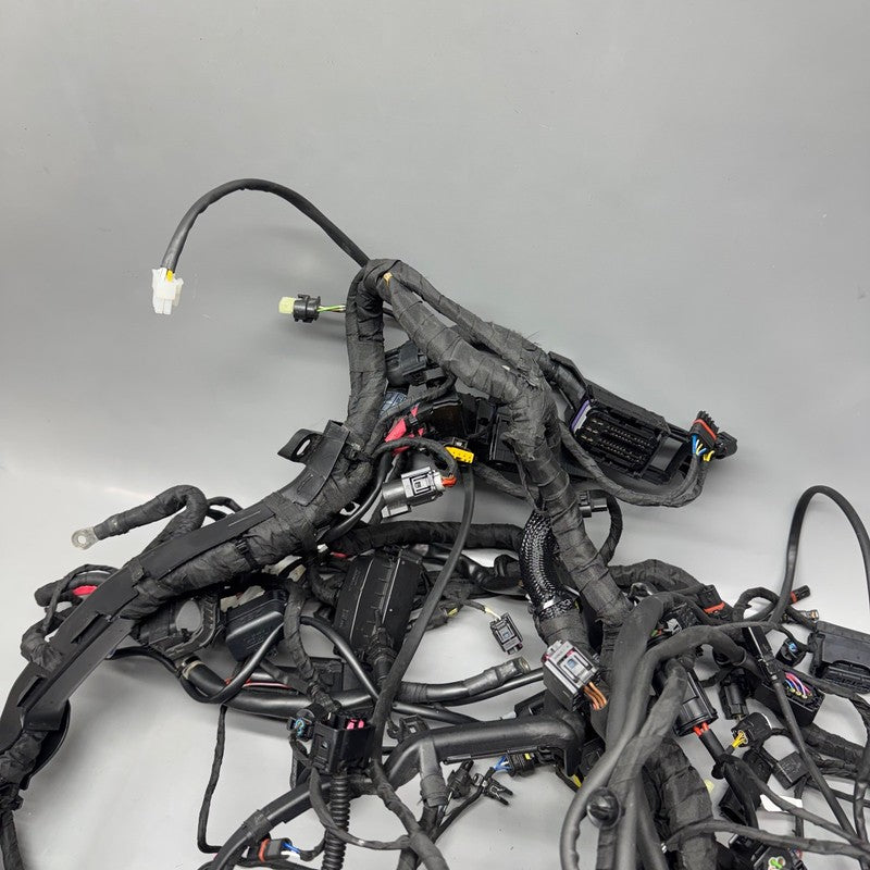 8555757 BMW R1250RT MAIN ENGINE HARNESS 2013-2017 2018 2019 2020 2021 2022 2023 2024 OEM