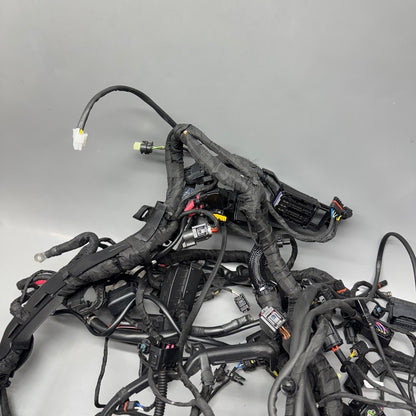 8555757 BMW R1250RT MAIN ENGINE HARNESS 2013-2017 2018 2019 2020 2021 2022 2023 2024 OEM