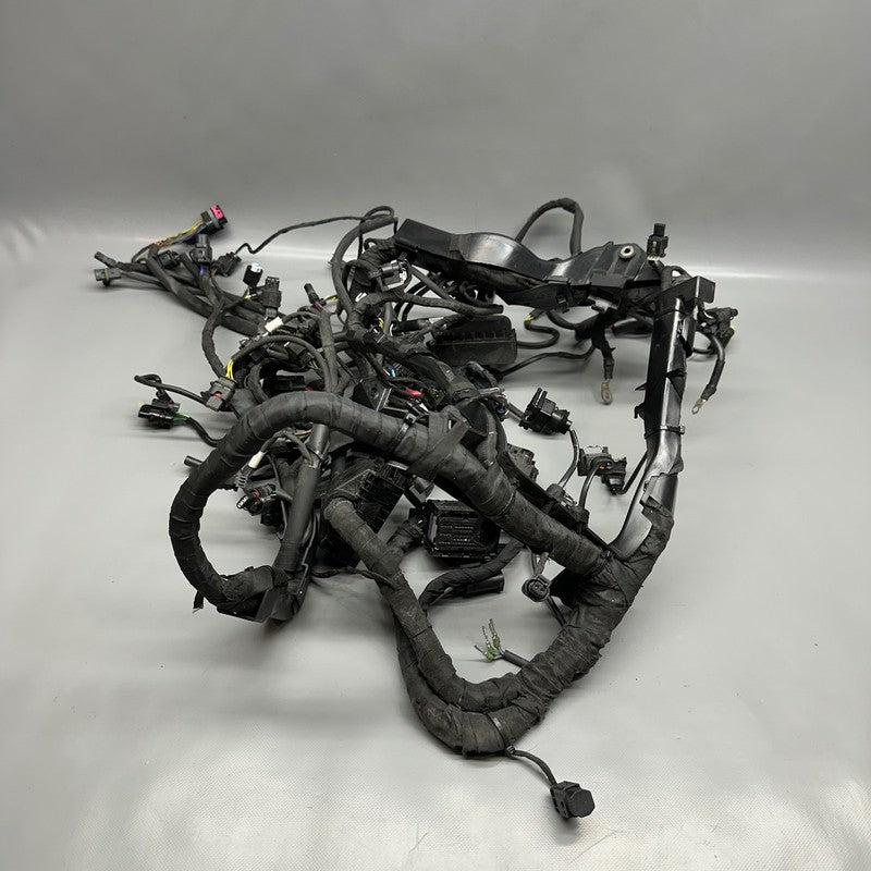 7105049 BMW S1000RR MAIN HARNESS WIRING LOOM 2018 2019 2020 2021 2022 OEM 7105049