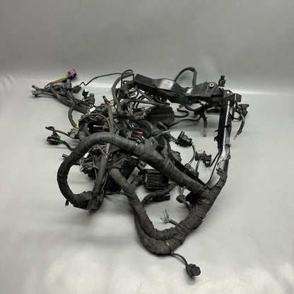 7105049 BMW S1000RR MAIN HARNESS WIRING LOOM 2018 2019 2020 2021 2022 OEM 7105049