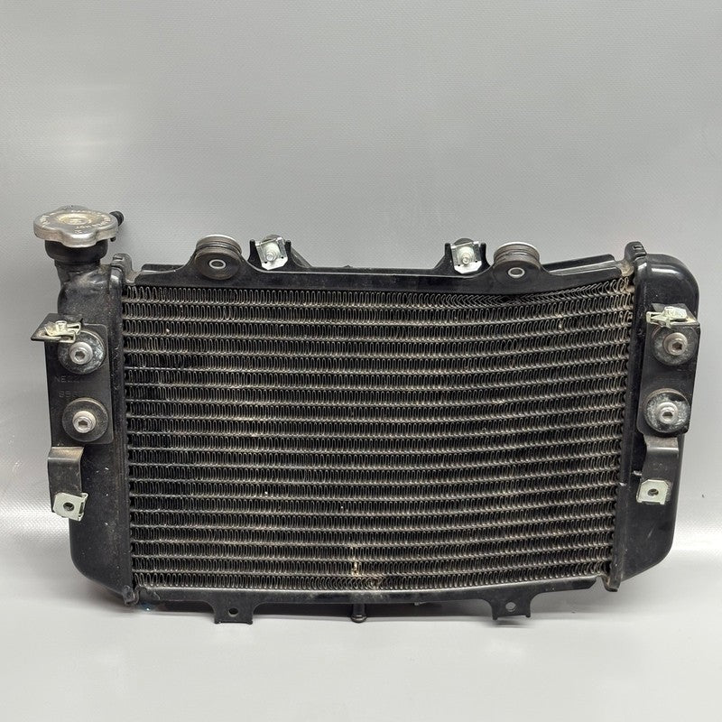 BMW G310GS RADIATOR WITH FAN 2016-2018 2019 2020 2021 2022 2023 2024 2