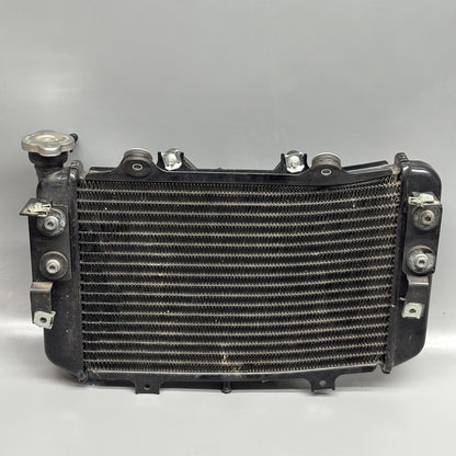 BMW G310GS RADIATOR WITH FAN 2016-2018 2019 2020 2021 2022 2023 2024 2