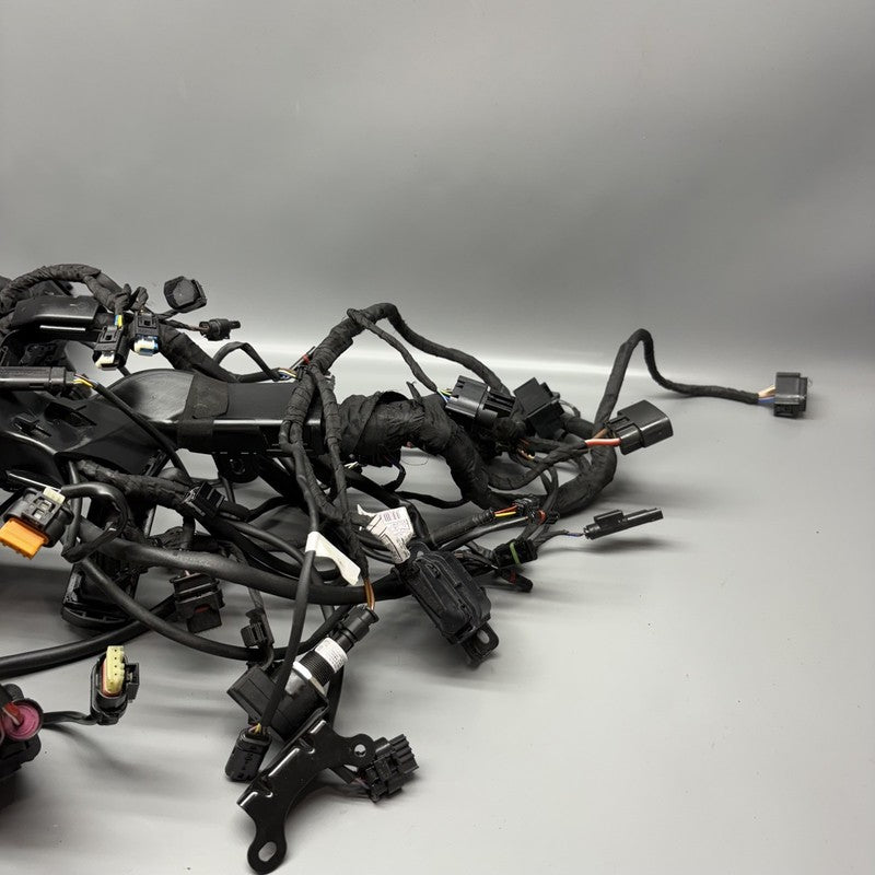 7108539 BMW S1000RR MAIN ENGINE WIRING 2019 2020 2021 2022 2023 2024 OEM 7108539 CUT
