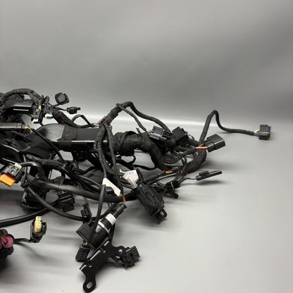 7108539 BMW S1000RR MAIN ENGINE WIRING 2019 2020 2021 2022 2023 2024 OEM 7108539 CUT