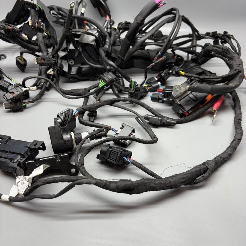 BMW S1000RR MAIN ENGINE WIRING 2023 2024 2025 OEM 7108539 WIRE CUT