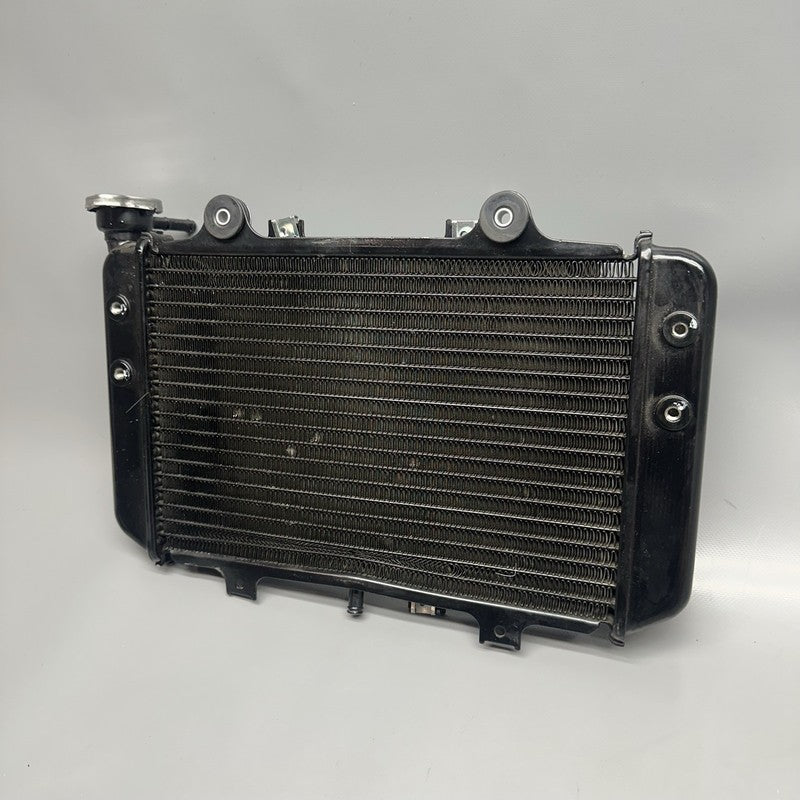 G310GS BMW G310GS RADIATOR 2018 2019 OEM