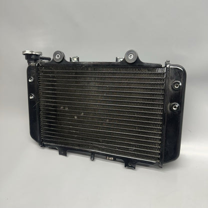 G310GS BMW G310GS RADIATOR 2018 2019 OEM