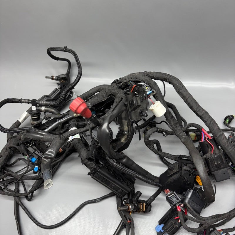 R12 NINE T BMW R12 NINE T MAIN ENGINE HARNESS 2022 2023 2024 2025 OEM