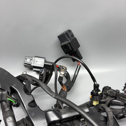 BMW S1000RR MAIN ENGINE WIRING 2023 2024 2025 OEM 7108539 WIRE CUT