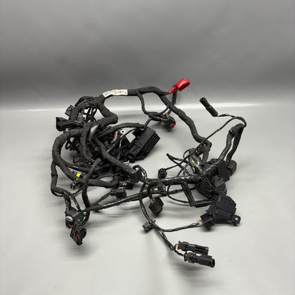 G310 GS BMW G310 GS MAIN ENGINE WARNESS 2016-2020 2021 2022 2023 2024 2025 OEM