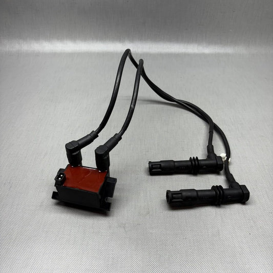 R1150RS BMW R1150RS IGNITION COIL SPARK PLUG 2002 2003 2004 2005 2006 OEM