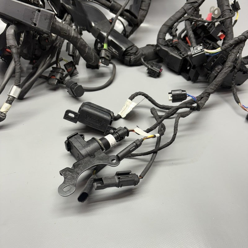 S1000R BMW S1000R MAIN ENGINE HARNESS 2020 2021 2022 2023 2024 2025 OEM 