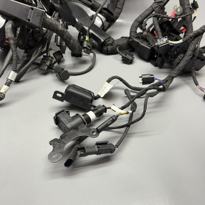 S1000R BMW S1000R MAIN ENGINE HARNESS 2020 2021 2022 2023 2024 2025 OEM 