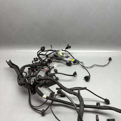 C400X BMW C400X MAIN HARNESS 2018 2019 2020 OEM