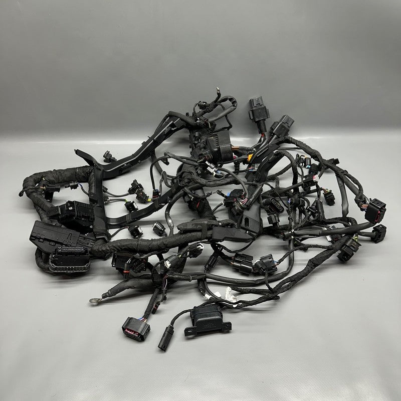 S1000R BMW S1000R MAIN ENGINE HARNESS 2020 2021 2022 2023 2024 2025 OEM