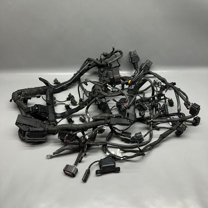 S1000R BMW S1000R MAIN ENGINE HARNESS 2020 2021 2022 2023 2024 2025 OEM