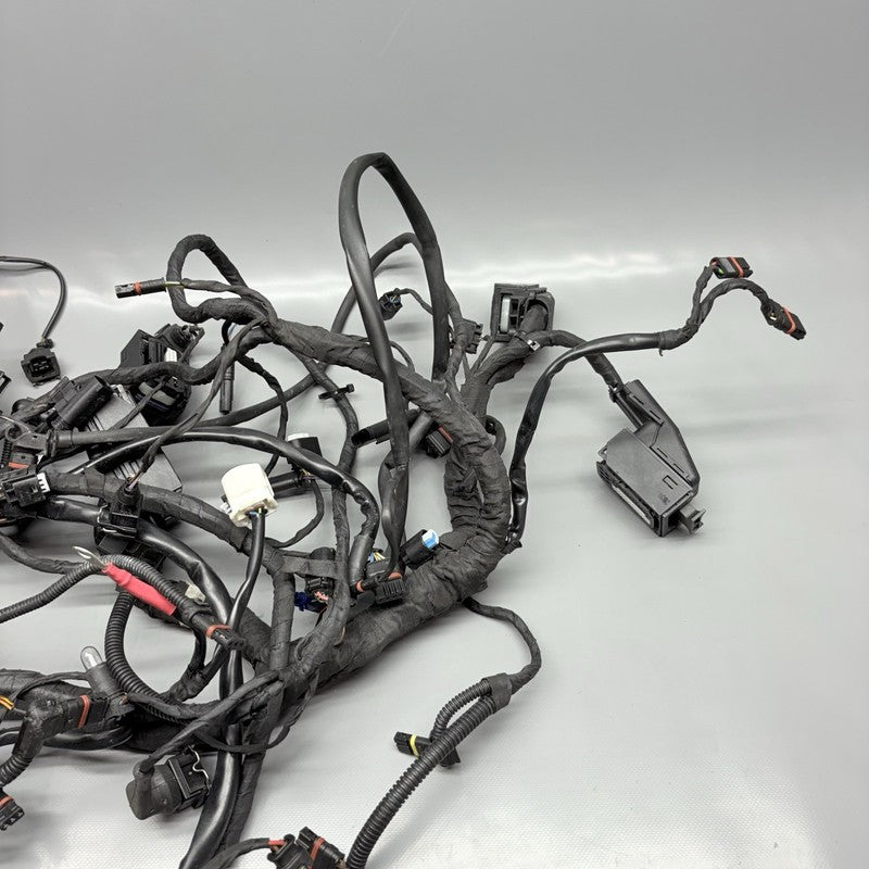 R1200GS BMW R1200GS MAIN WIRE HARNESS 2009 2010 2011 2012 2013 OEM  