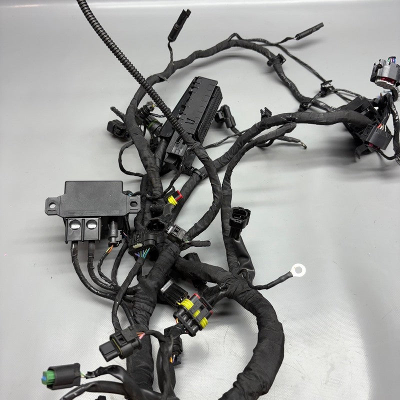 G310 GS BMW G310 GS MAIN ENGINE WARNESS 2016-2020 2021 2022 2023 2024 2025 OEM