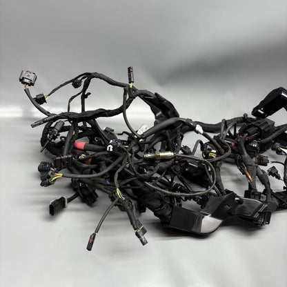 7105048 BMW M1000R MAIN WIRING HARNESS 2021 2022 2023 2024 OEM 7105048