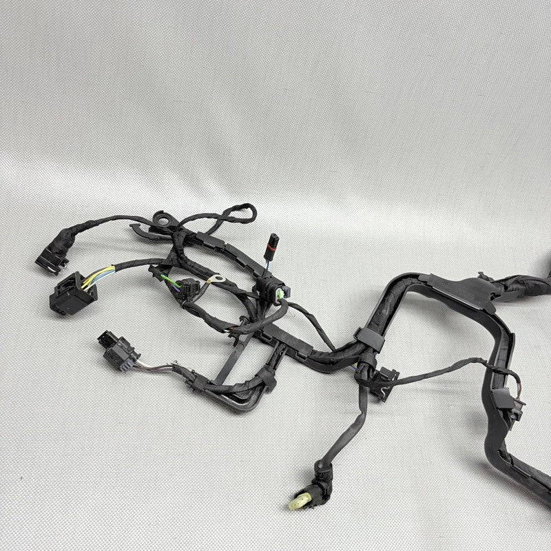 BMW R1250GS ENGINE WIRING HARNESS 2017 2018 2019 2020 2021 2022 2023 O