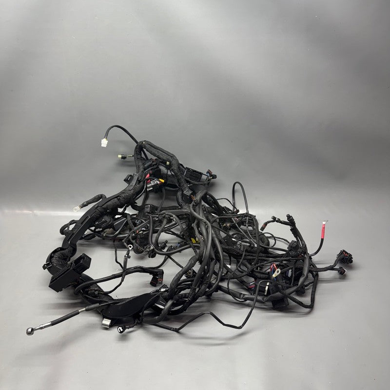 8555757 BMW R1250RT MAIN ENGINE HARNESS 2013-2017 2018 2019 2020 2021 2022 2023 2024 OEM