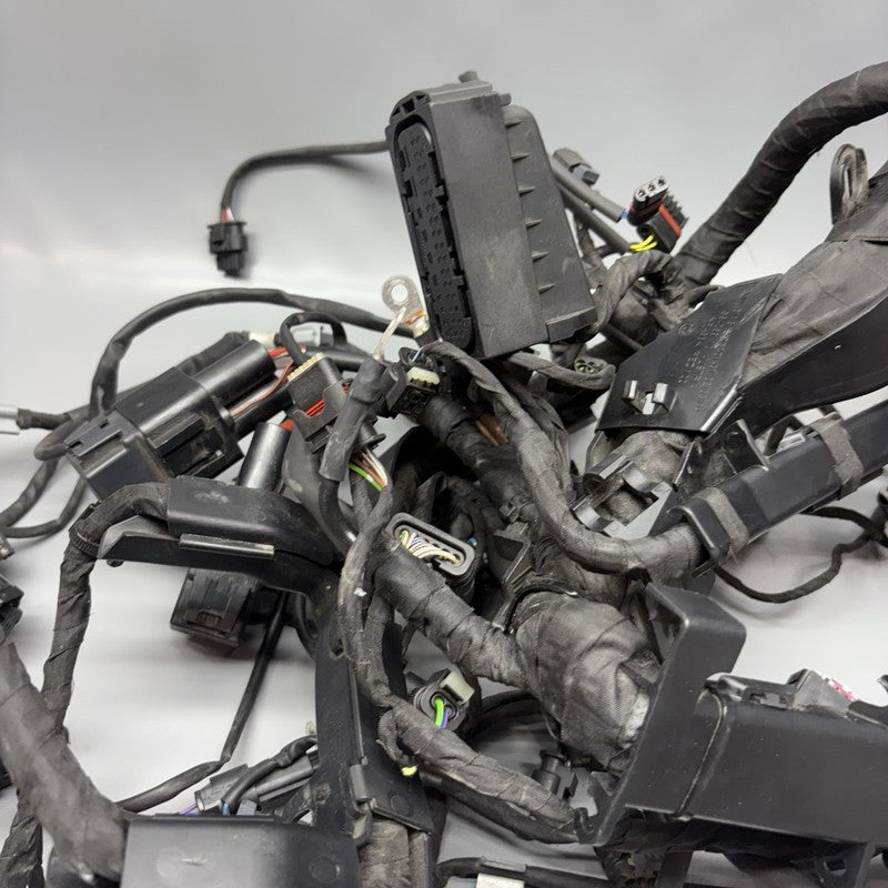 S1000R BMW S1000R MAIN ENGINE HARNESS 2020 2021 2022 2023 2024 2025 OEM 