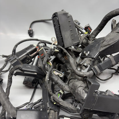S1000R BMW S1000R MAIN ENGINE HARNESS 2020 2021 2022 2023 2024 2025 OEM 