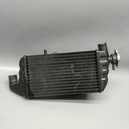 BMW K1200LT RADIATOR LEFT 2005 2006 2007 2008 OEM 1465271
