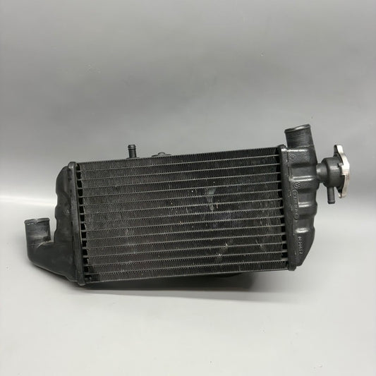 BMW K1200LT RADIATOR LEFT 2005 2006 2007 2008 OEM 1465271