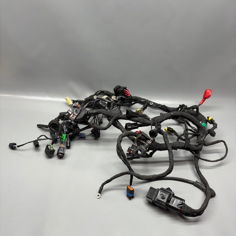 BMW G310R US MAIN ENGINE WIRE HARNESS 2016 2017 2018 2019 2020 OEM 835