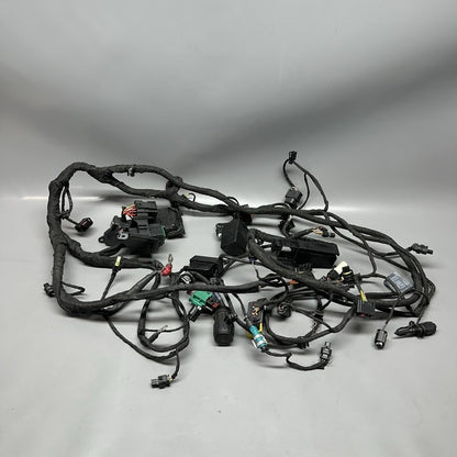 C 650 EVOLUTION BMW C 650 EVOLUTION MAIN WIRING HARNESS 2015 2016 2017 2018 OEM