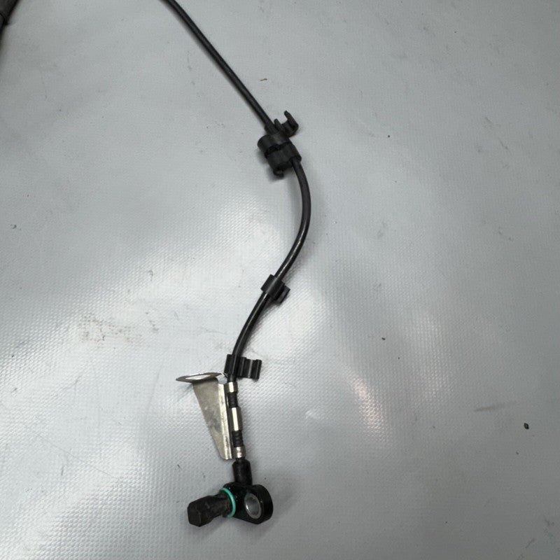 1692821 BMW F900R MAIN ENGINE HARNESS 2020 2021 2022 2023 2024 OEM 1692821