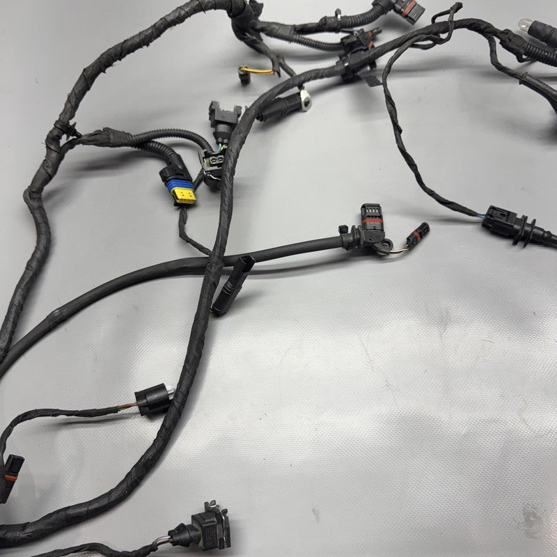 R1200GS BMW R1200GS MAIN ENGINE WIRE HARNESS 2009 2010 2011 2012 OEM