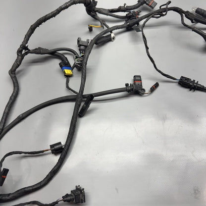 R1200GS BMW R1200GS MAIN ENGINE WIRE HARNESS 2009 2010 2011 2012 OEM