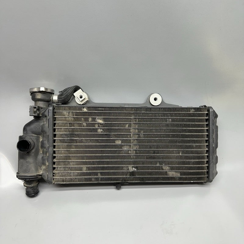 7661912 BMW G650GS SERTAO RADIATOR 2010 2011 2012 2013 2014 OEM 7661912