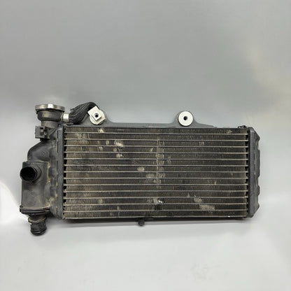 7661912 BMW G650GS SERTAO RADIATOR 2010 2011 2012 2013 2014 OEM 7661912
