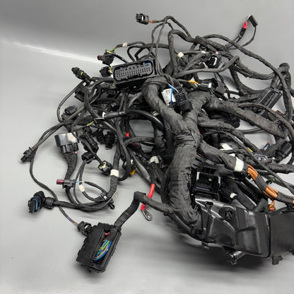 R18 TRANSCONTINENTAL BMW R18 TRANSCONTINENTAL MAIN ENGINE HARNESS 2020 2021 2022 2023 2024 2025 OEM