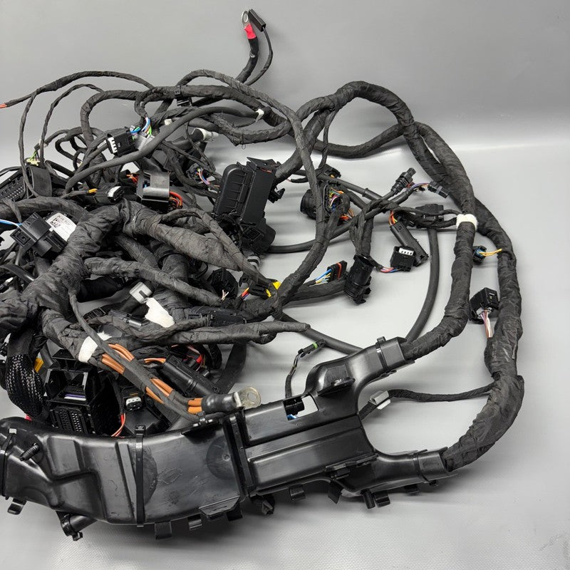 R18 TRANSCONTINENTAL BMW R18 TRANSCONTINENTAL MAIN ENGINE HARNESS 2020 2021 2022 2023 2024 2025 OEM