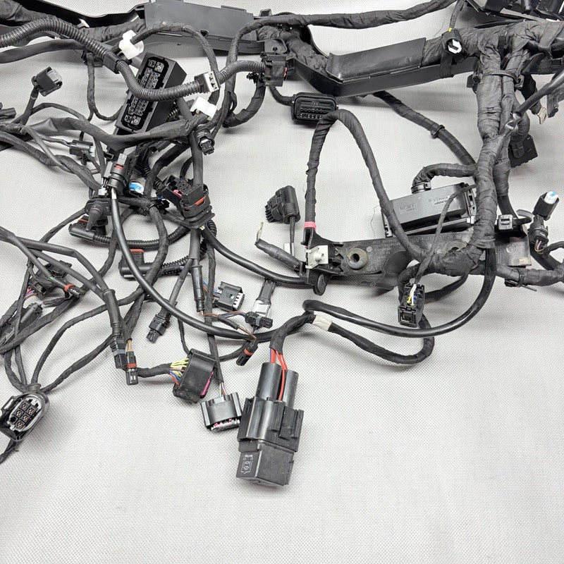 BMW R1250GS MAIN WIRING HARNESS 2018 2019 2020 2021 2022 2023 OEM 9480