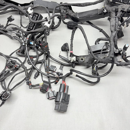BMW R1250GS MAIN WIRING HARNESS 2018 2019 2020 2021 2022 2023 OEM 9480