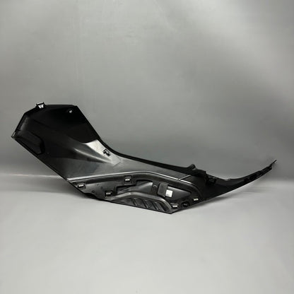 8569772 BMW S1000R TANK TRIM RIGHT 2020 2021 2022 2023 2024 2025 OEM 8569772