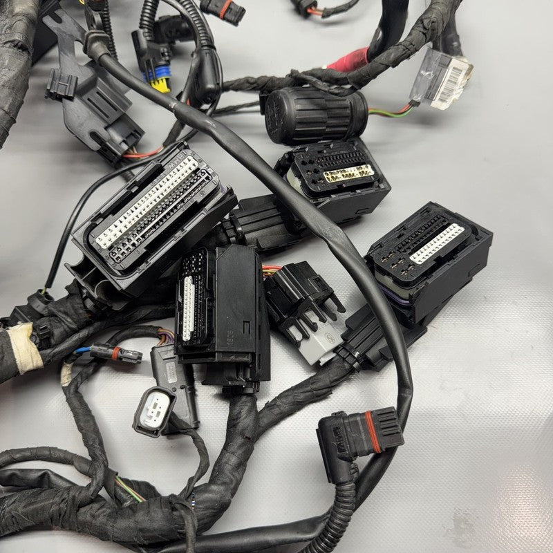 R1200GS BMW R1200GS MAIN ENGINE WIRE HARNESS 2009 2010 2011 2012 OEM