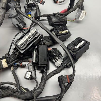 R1200GS BMW R1200GS MAIN ENGINE WIRE HARNESS 2009 2010 2011 2012 OEM