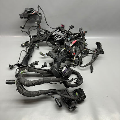 7105049 BMW S1000RR MAIN HARNESS WIRING LOOM 2018 2019 2020 2021 2022 OEM 7105049