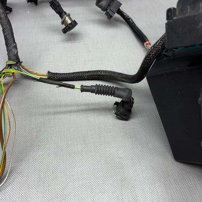 R1150RS BMW R1150RS MAIN ENGINE HARNESS 2002 2003 2004 2005 2006 OEM
