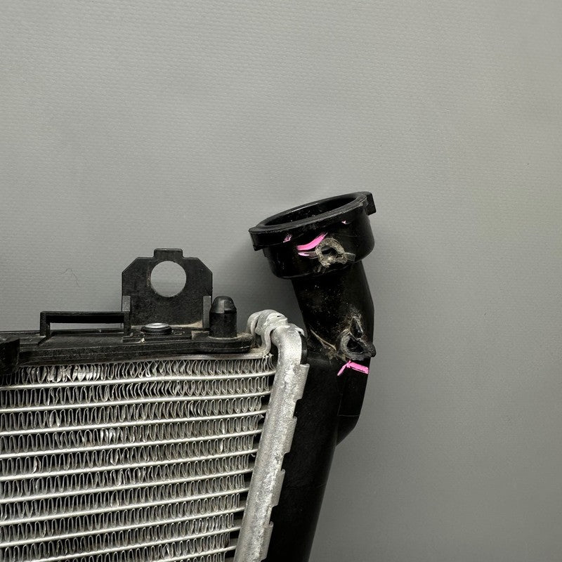 8356804 BMW S1000RR RADIATOR 2018 2019 2020 2021 2022 2023 2024 2025 OEM 8356804