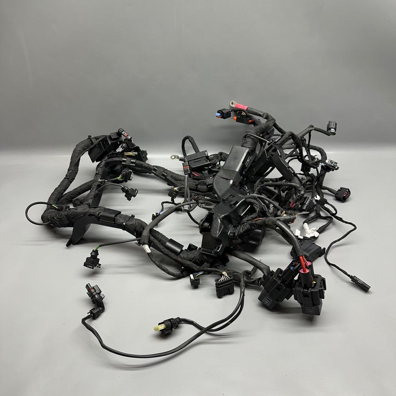 S1000R BMW S1000R MAIN ENGINE HARNESS 2020 2021 2022 2023 2024 2025 OEM